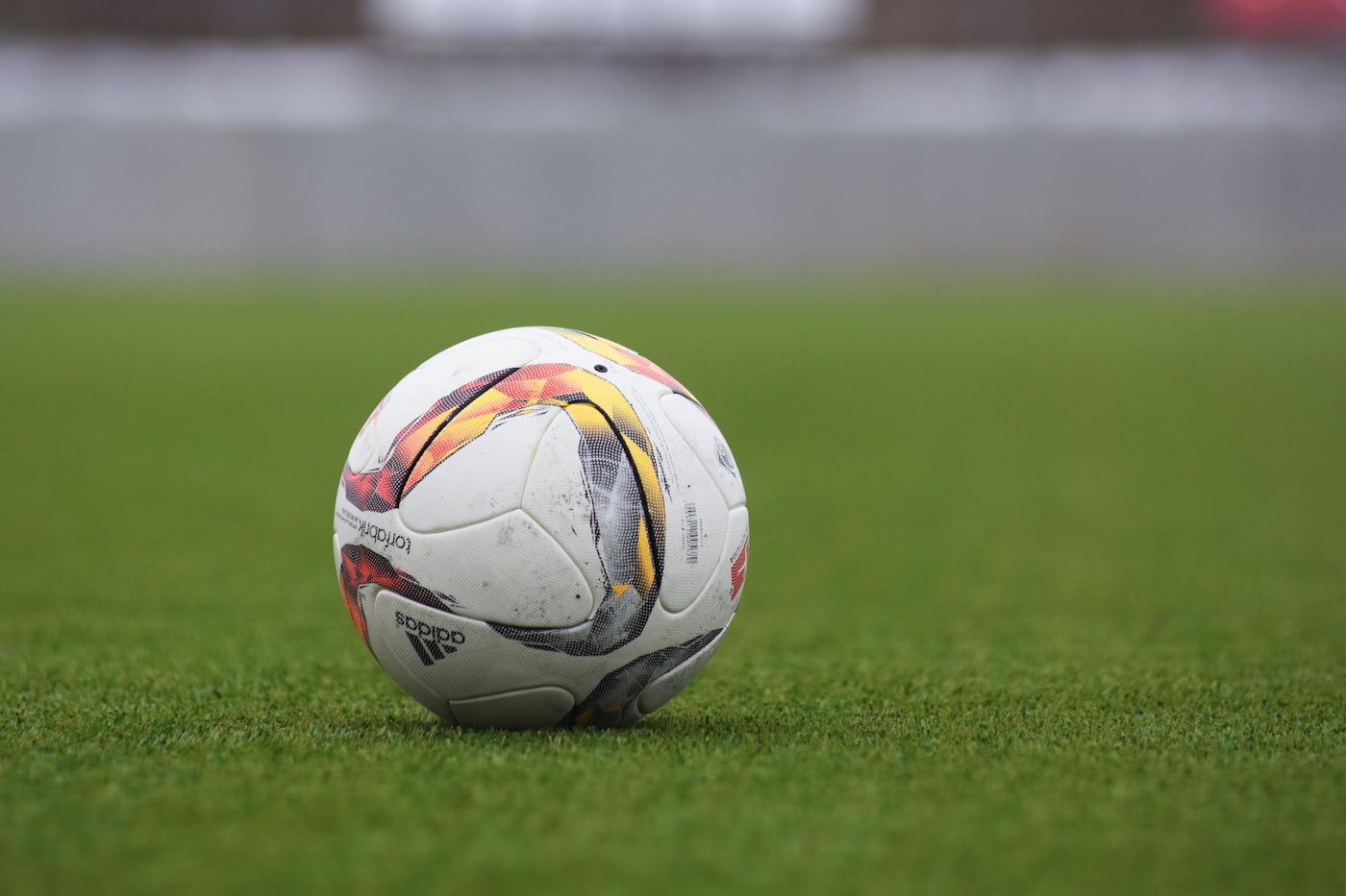 Supporters africains au Mondial